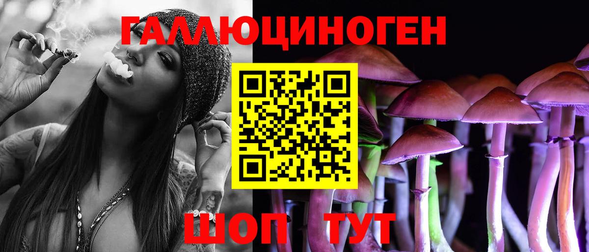 Псилоцибиновые грибы прущие грибы Гурьевск