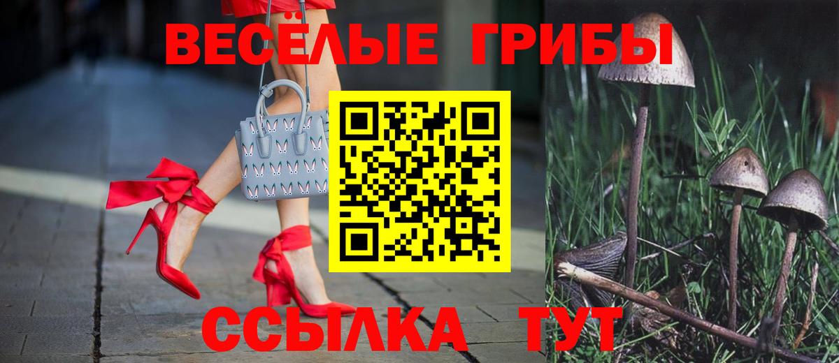 Гурьевск  Галлюциногенные грибы Cubensis  Вход с VPN  Галлюциногенные грибы GOLDEN TEACHER 
